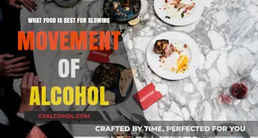 Slow Alcohol Absorption: Best Foods to Eat