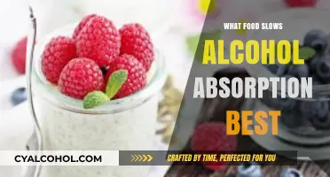 Savoring Safety: The Ultimate Guide to Foods That Slow Alcohol Absorption