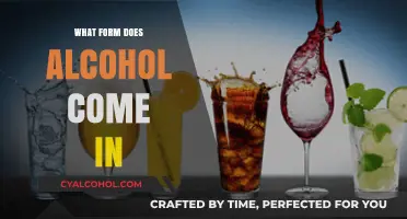 Exploring the Various Forms and Types of Alcoholic Beverages
