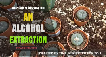 Alcohol Extraction: Mescaline's Potent Form