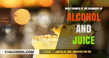 The Evolution of Alcoholic Juice Drinks