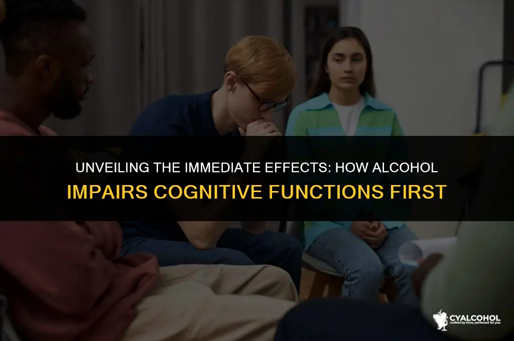 what function does alcohol impair first