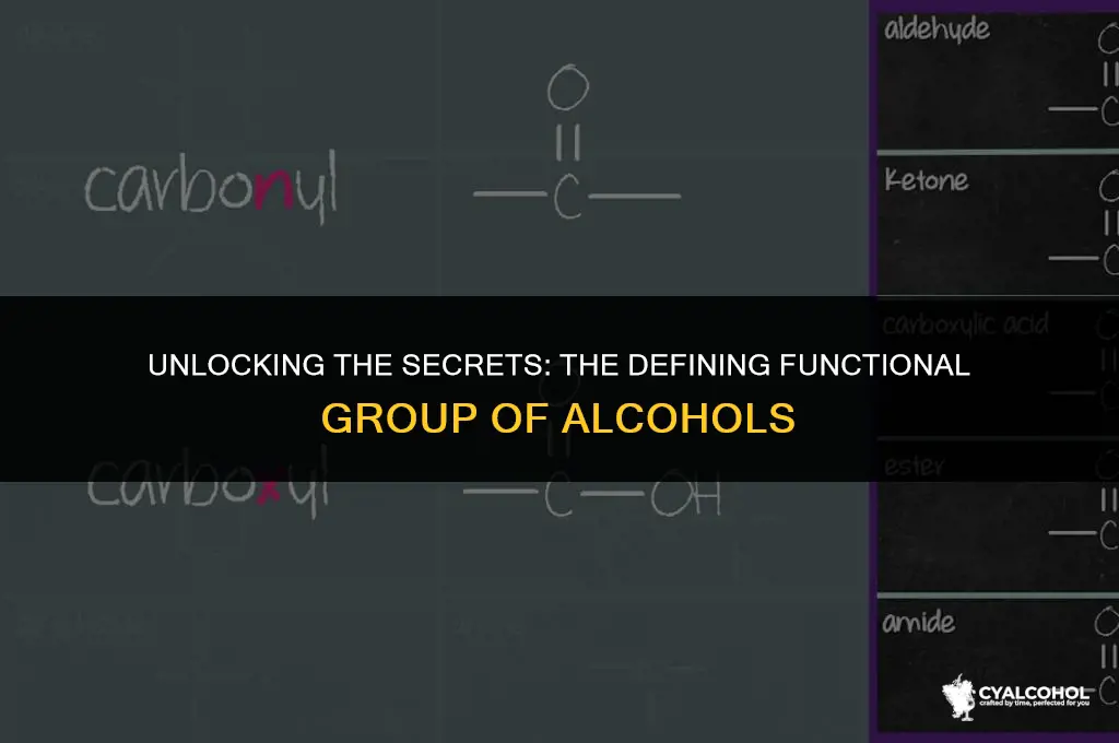 what functional group characterizes an alcohol