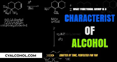 Understanding Alcohols: The Hydroxyl Group as Their Defining Functional Group