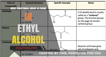 Identifying the Functional Group in Ethyl Alcohol: A Comprehensive Guide