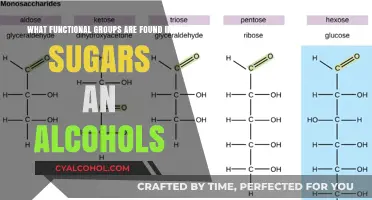 Functional Groups in Sugars and Alcohols: What's the Difference?