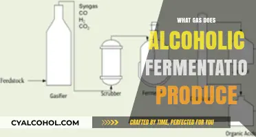 Unveiling the Secrets of Alcoholic Fermentation: A Gas by Gas Guide