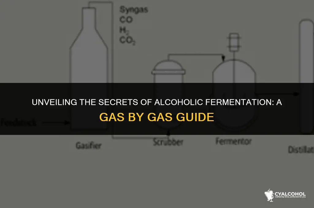 what gas does alcoholic fermentation produce