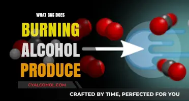 The Chemistry of Combustion: Unveiling Alcohol's Burning Secrets