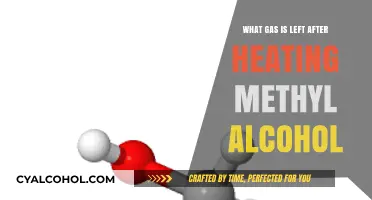 Heating Methyl Alcohol: Identifying the Residual Gas Composition Explained