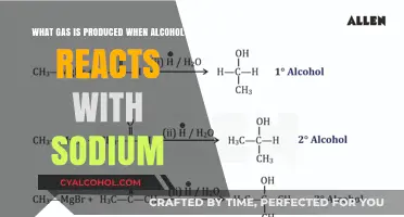 Hydrogen Gas: The Surprising Outcome of Alcohol and Sodium