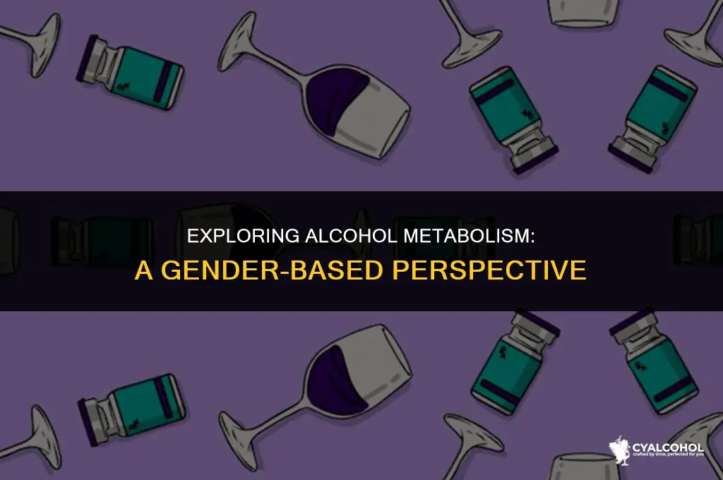 what gender metabolize alcohol more slowly