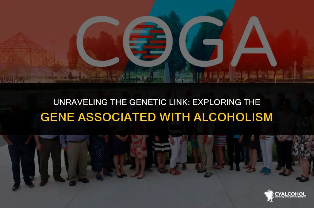 what gene is related to alcoholism