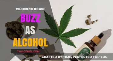 Sober Thrills: Discovering Alcohol-Free Alternatives for That Euphoric Buzz
