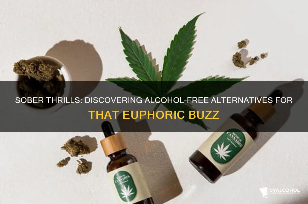 what gives you the same buzz as alcohol
