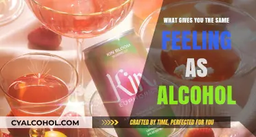 Sober Bliss: Natural Alternatives to Mimic Alcohol's Euphoric Buzz