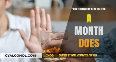Sobering Insights: How Quitting Alcohol for 30 Days Transforms Your Life