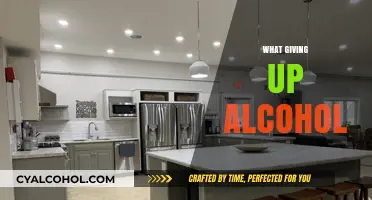 Sober Living: Transforming My Life by Giving Up Alcohol