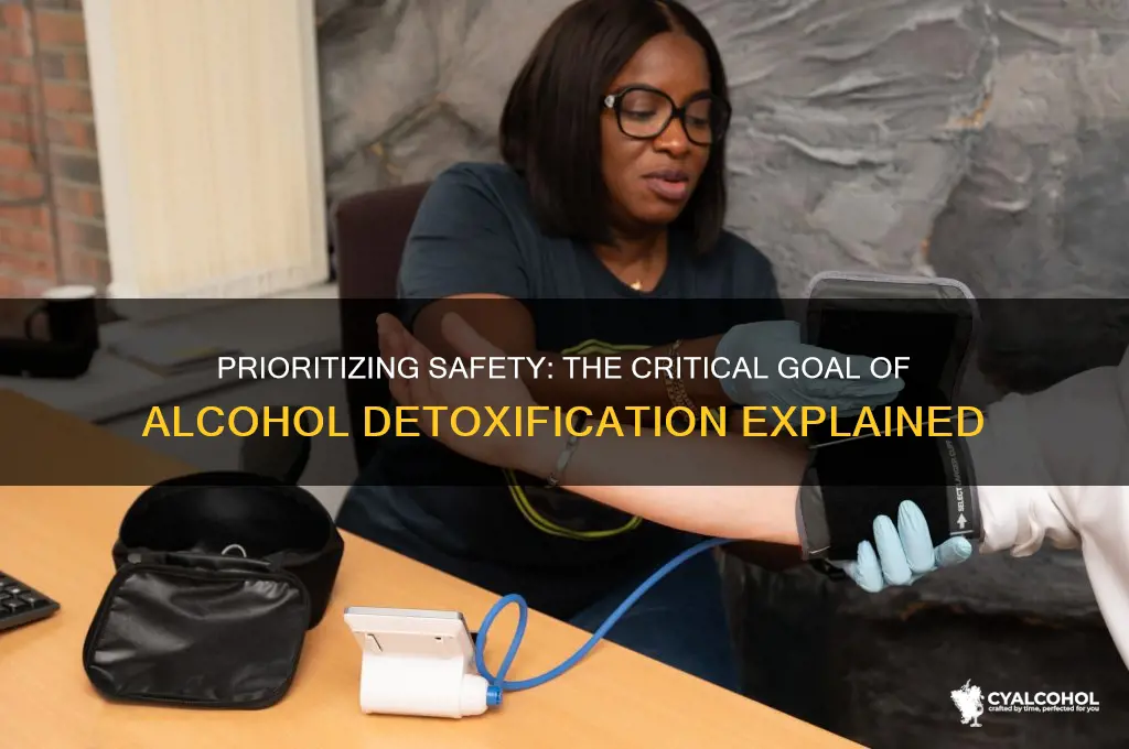 what goal is most important for alcohol detoxification