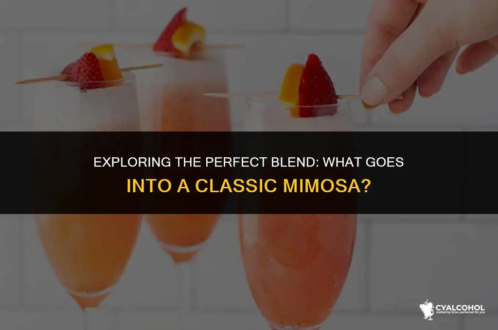 what goes in a mimosa alcoholic