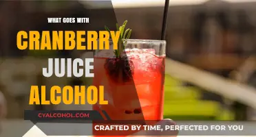 Festive Fusion: Cranberry Juice and Alcohol Pairing Ideas