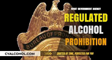 Prohibition Oversight: The Role of the Bureau of Prohibition