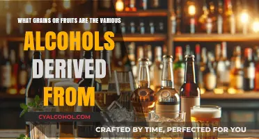 Grains and Fruits: Alcohol's Origins