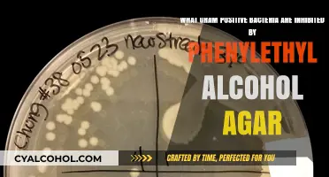 Phenylethyl Alcohol Agar: Inhibiting Gram-Positive Bacteria