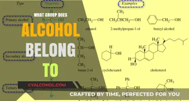 Understanding Alcohol: Its Chemical Classification and Effects