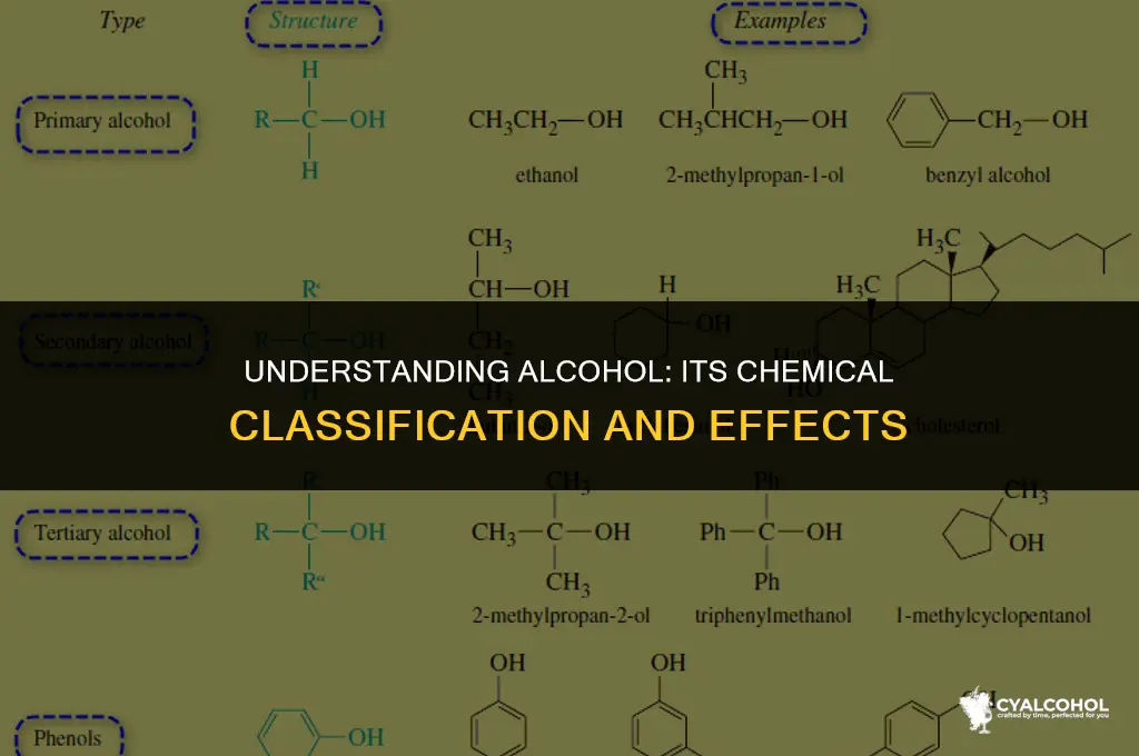 what group does alcohol belong to