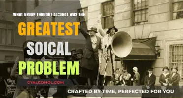 Who Views Alcohol as the Top Social Ill?
