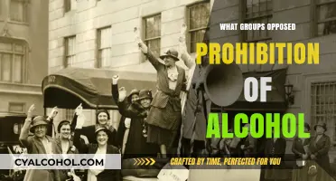 Defying Sobriety: The Diverse Groups That Opposed Alcohol Prohibition