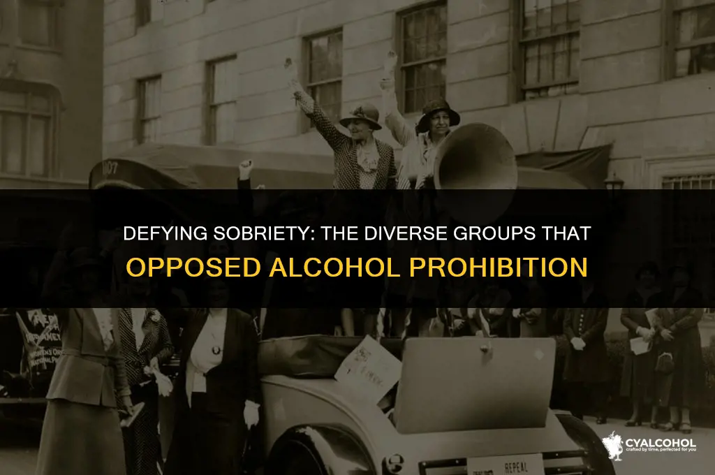 what groups opposed prohibition of alcohol