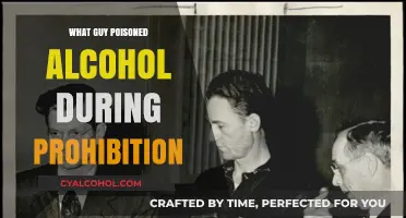 The Notorious Bootlegger: Unveiling the Truth Behind Prohibition's Poisonous Plot