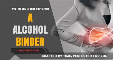 Alcohol's Impact: What Happens to Your Body After Binge Drinking?