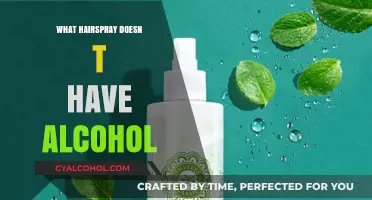 Alcohol-Free Alternatives: Discover Hairsprays That Hold Without the Harsh Chemicals