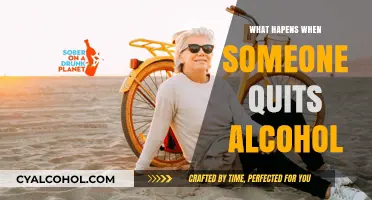 Sobriety Unveiled: The Transformative Journey of Quitting Alcohol