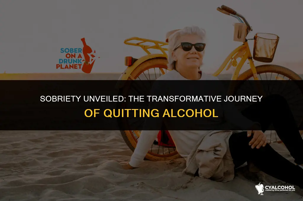 what hapens when someone quits alcohol