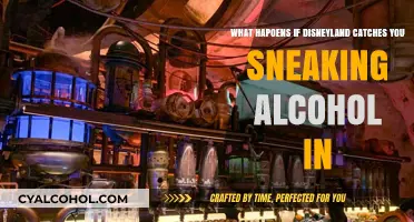 Disneyland's Strict Alcohol Policy: Sneaking Alcohol In