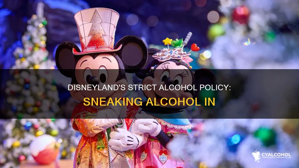 what hapoens if disneyland catches you sneaking alcohol in