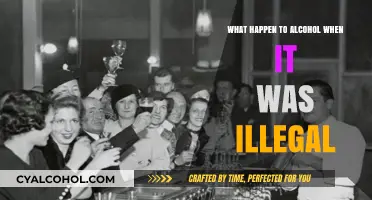 Prohibition's Dark Legacy: The Rise of Bootlegging and Speakeasies