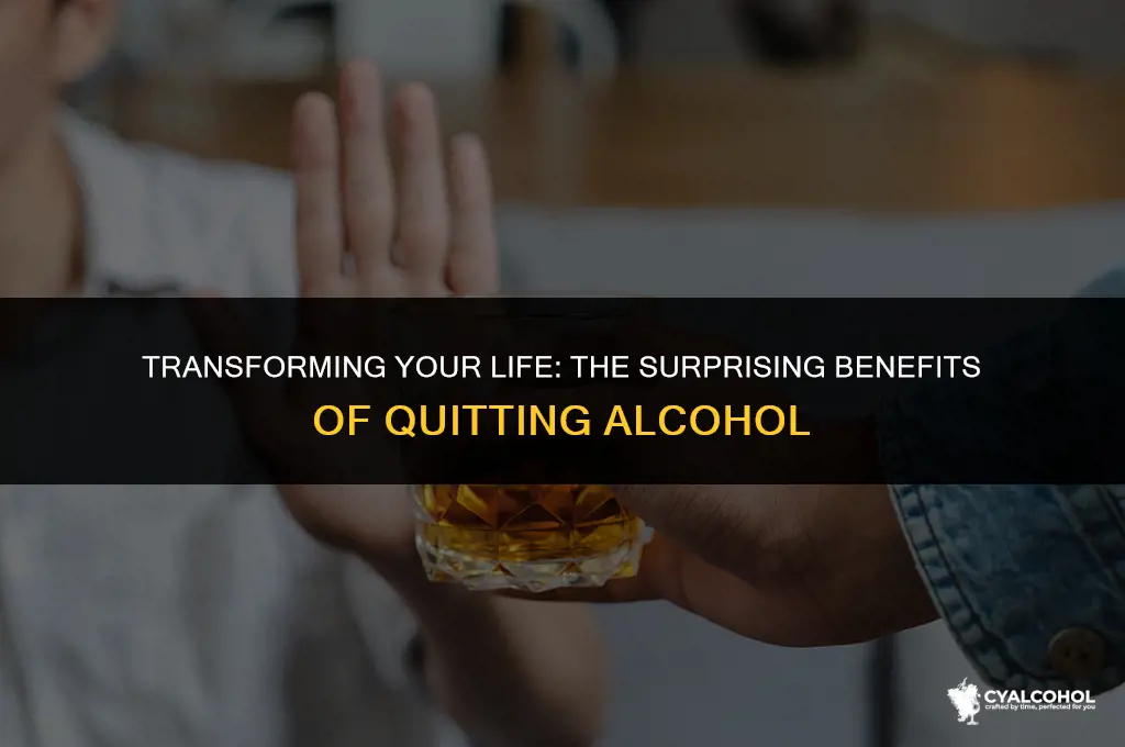 what happen when you quit alcohol