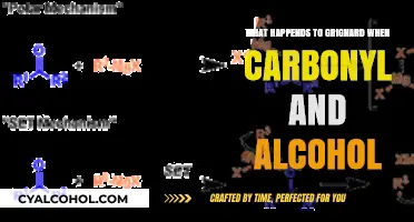 Grignard Reacts with Carbonyl and Alcohol: Unveiling the Chemical Transformation