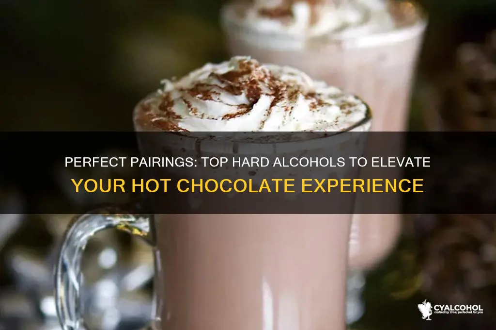 what hard alcohol goes best with hot chocolate