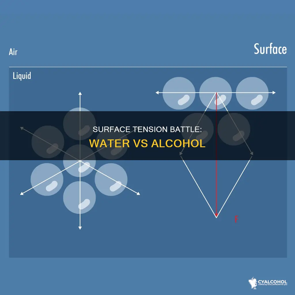 what has a higher surface tension water or alcohol
