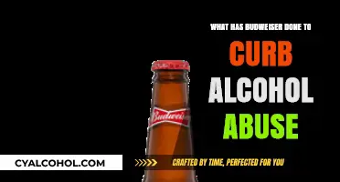 Budweiser's Initiatives to Combat Alcohol Abuse and Promote Responsibility