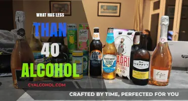 Exploring Low-Alcohol Alternatives: Beverages Under 40% ABV