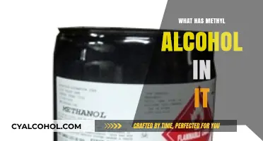 Unveiling Common Products Containing Methyl Alcohol: A Comprehensive Guide
