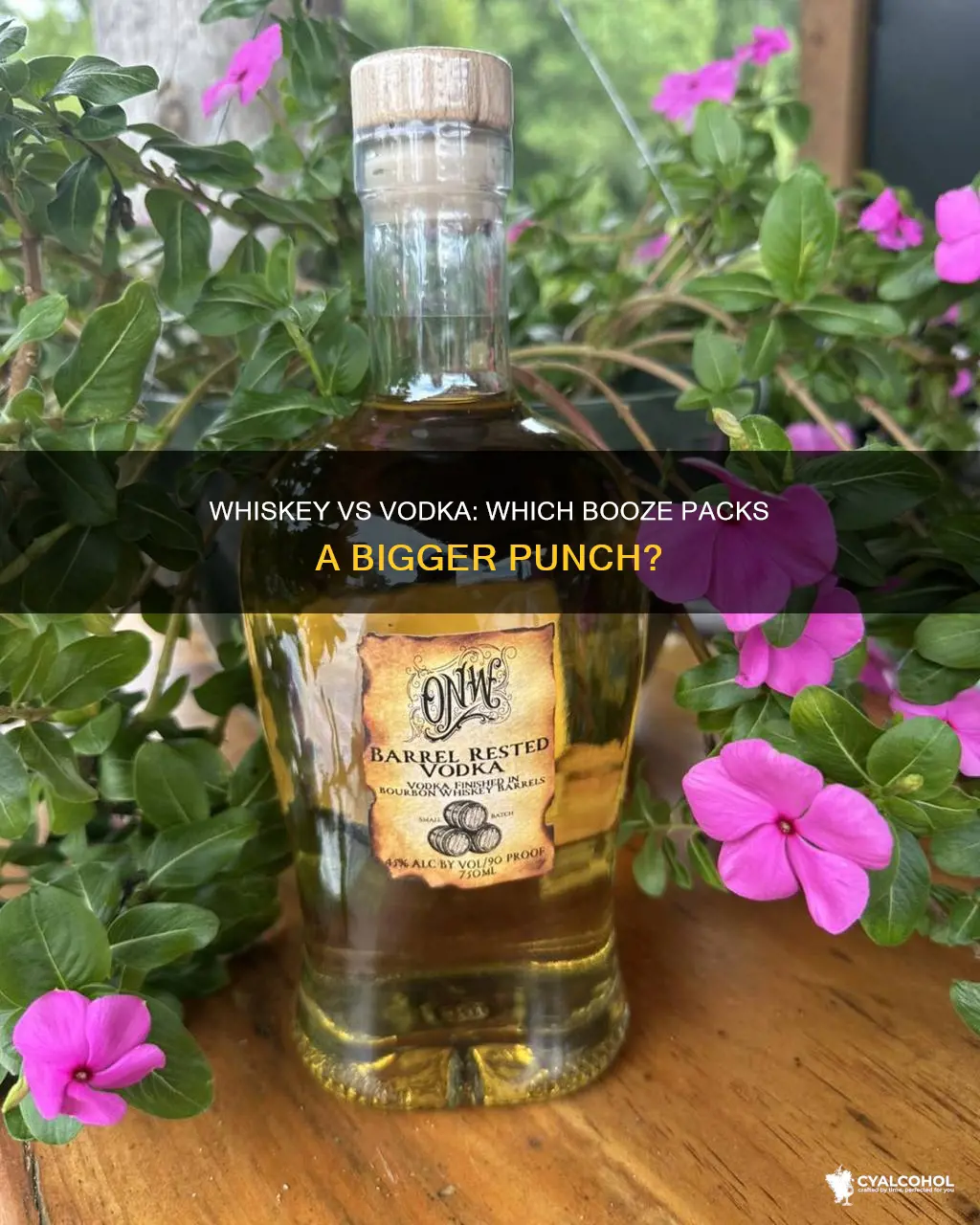 what has more alcohol in it whiskey or vodka