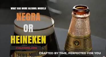 Modelo Negra vs. Heineken: Which Beer Packs a Stronger Alcohol Punch?